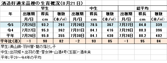 成熟期調査.png