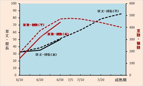生育経過図（令4）.jpg