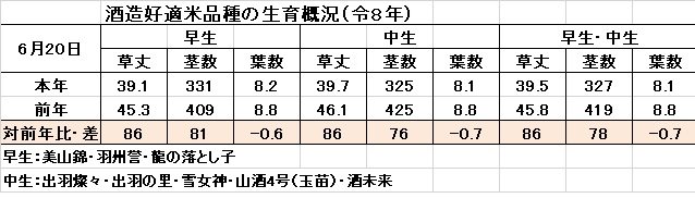 6月20日生育（令8）.jpg