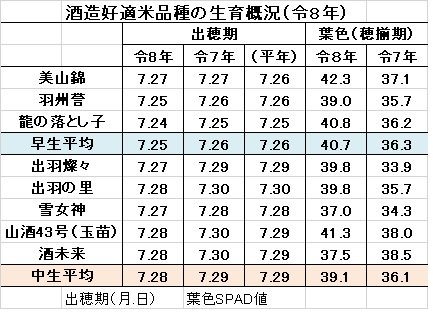 穂揃期生育（令8）.jpg