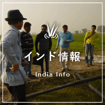 インド情報