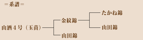keifu01.gif