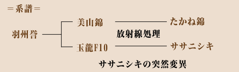 keifu02.gif
