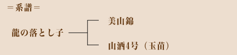 keifu03.gif