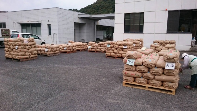 2016.10.13 _赤磐雄町米初検査③.JPG