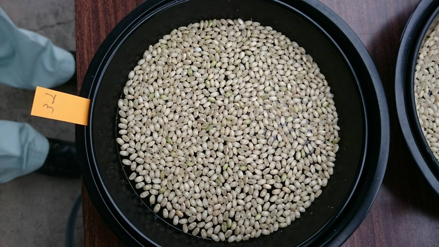 2016.10.13 _赤磐雄町米初検査④.JPG