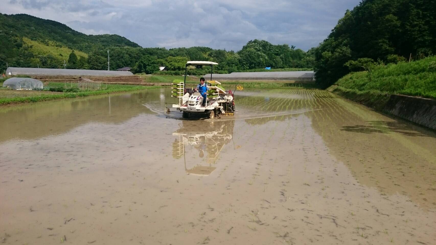 2016.6.10_赤磐雄町田植え③.JPG