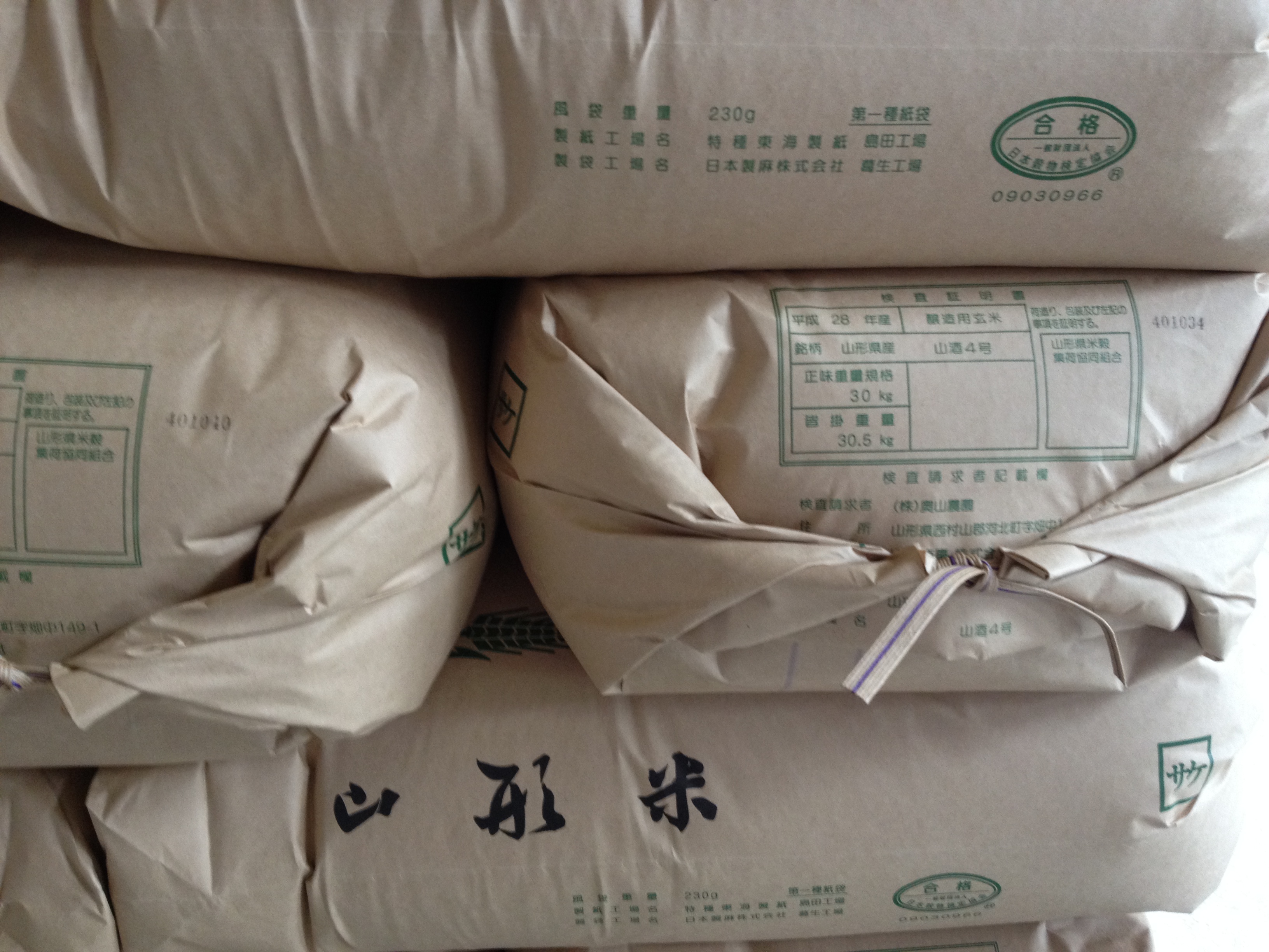 2016.9.19 松岡専務　山酒4号圃場視察⑦.JPG